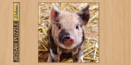 Jigsaw Puzzle Deluxe - Screenshot